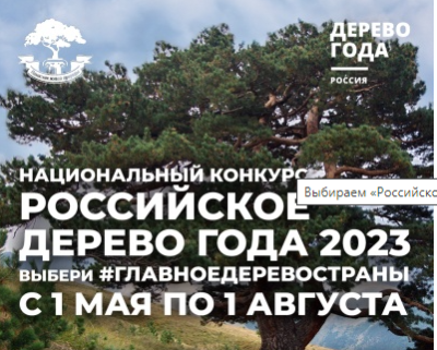 Приморцев приглашают принять участие в конкурсе «Российское дерево года – 2023»