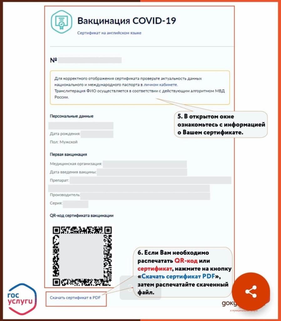 Кому положен QR-код и как можно самостоятельно скачать сертификат о  вакцинации на портале Госуслуг